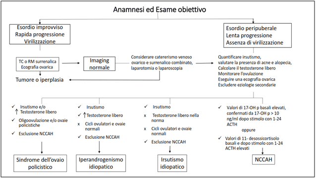 Iter diagnostico irsutismo (Escobar-Morreale HF, 2012)