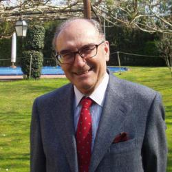 Prof. Domenico Andreani